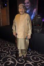 at Sony launches serial Chhan chhan in Shangrila Hotel, Mumbai on 19th March 2013 (97).JPG